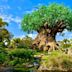 Tree of Life (Disney)