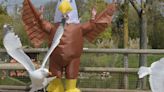 Zoo Hiring People To Dress Up As Giant Eagles And Scare Off Seagulls