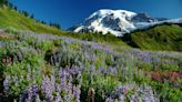 The highest and lowest natural elevation in each of the 50 states