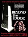Beyond the Door (1974 film)