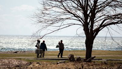 Whale surfaces, capsizes fishing boat off New Hampshire coast