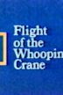 Flight of the Whooping Crane