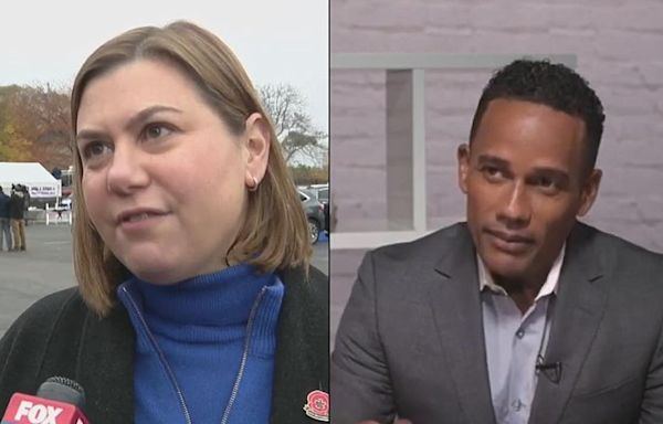 Democrat Senate opponent Hill Harper accuses Elissa Slotkin of 'scab behavior' as primary race heats up