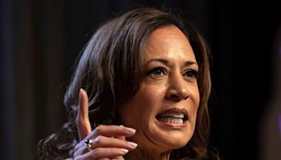 Harris critica a Trump por decir que sus acusaciones atraen a los votantes negros - El Diario NY