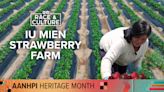 Strawberry success: How Iu Mien families grew a network of strawberry farming in Sacramento