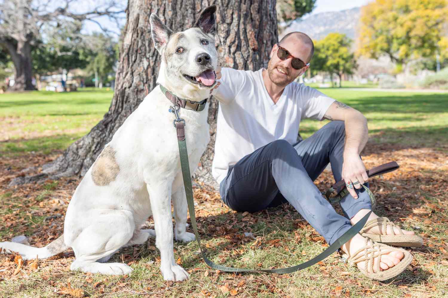 Man Reunites With His Missing Dog Thanks to Tool Designed to Help the Parents of Lost Pets (Exclusive)