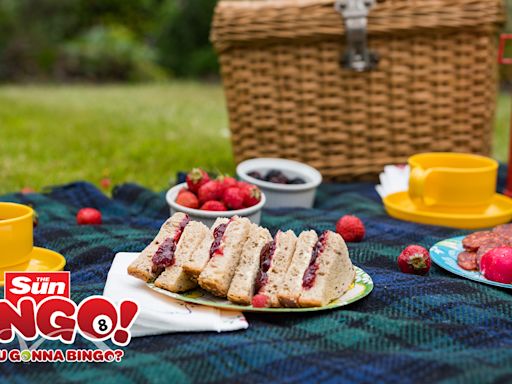 Get a Sun Bingo Summer Treat to enhance your next picnic