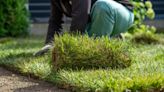 Cost of Sod vs. Seed: 7 Factors to Consider When Budgeting for a New Lawn