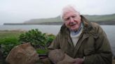 Sir David Attenborough on painstaking excavation of giant sea monster skull
