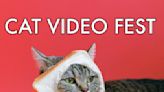 ‘CatVideoFest’ Lands On Its Feet; ‘Talk To Me’ Tops $22M As ‘Shortcomings’, ‘Passages’ Debut – Specialty Box Office