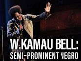 W. Kamau Bell: Semi-Promenint Negro