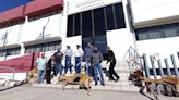 Protestan con reses muertas frente a la SADER; exigen apoyo por sequía