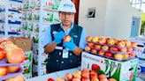 Aprueban levantar suspensión de requisitos fitosanitarios para importar fruta de Chile
