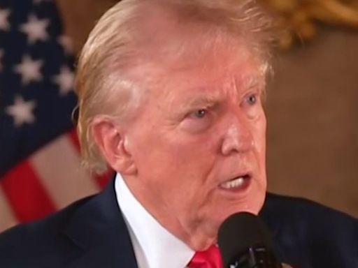 Jealous? Trump ‘freaks out’ over Harris momentum in ‘unhinged’ press conference