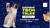 Is Schrödinger’s cat dead or alive, and other questions about quantum | Euronews Tech Talks