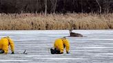 Firefighters Rescue Deer Stuck in Thin Ice Pond in Minnesota: 'It Was Struggling'