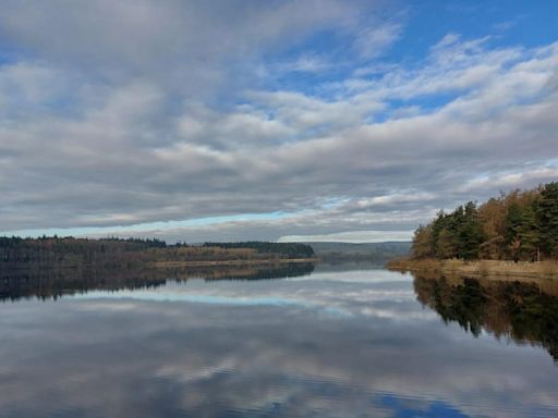 Runner bitten by dog at North Yorkshire beauty spot