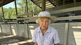 Nonagenarian farmer says going organic 40 years ago 'produced miraculous results'