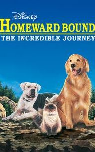 Homeward Bound: The Incredible Journey