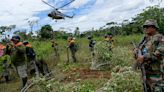 Erradican más de 3 mil hectáreas de cultivos ilegales de hoja de coca en menos de dos meses