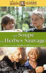 Une soupe aux herbes sauvages