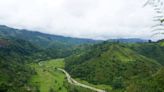 Un misterioso sonido llevó a los científicos hasta una criatura de huesos verdes en Colombia