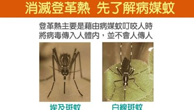 憂登革熱疫情通報經費大縮水 陳菁徽籲政院：把南部鄉親健康擺第一