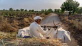 Farmers in India are weary of politicians' lackluster response to their climate-driven water crisis