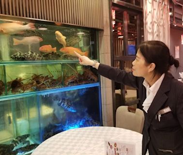 停電致酒樓貴價魚死亡 有食肆客人走單