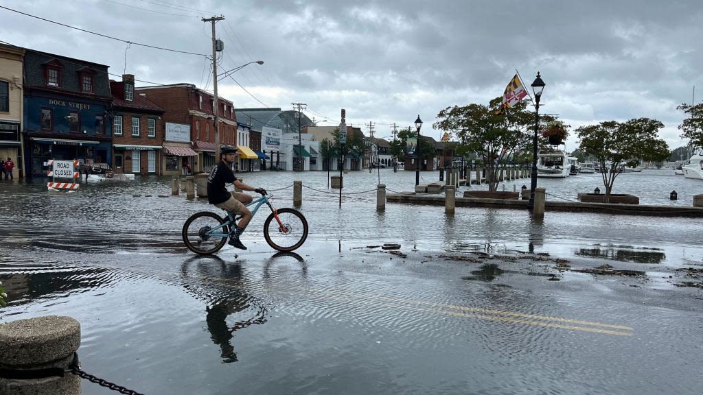 Debby brings flooding to City Dock area in Annapolis | PHOTOS