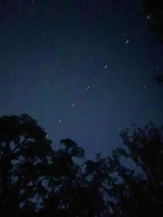'Satellite train' visible in Florida night skies this past week