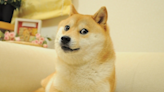 Dog from the ‘Doge’ meme and the face of Dogecoin dies