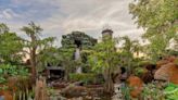 When Is Disney World's Tiana's Bayou Adventure Opening? | Entrepreneur