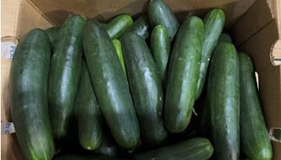 Salmonella linked to recalled cucumbers could be two separate strains; FDA, CDC investigate