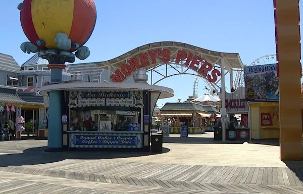 Seagull decapitated at Morey's Pier as man arrested for animal cruelty: police