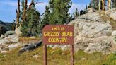 Hunter ignores fresh grizzly track and faces angry mother bear, Montana officials say - East Idaho News