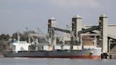Puertos granos Argentina operan normalmente pese a huelga de sindicato marítimo: cámara