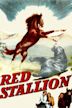 The Red Stallion