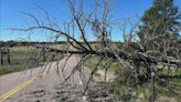 People living in Douglas County shocked by strong wind gusts blowing through Colorado