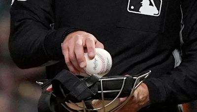 Ex-minor league umpire sues MLB, says he was harassed by female ump, fired for being bisexual man