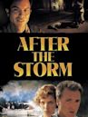 After the Storm (2001 film)