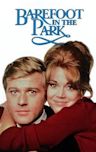 Barefoot in the Park (film)