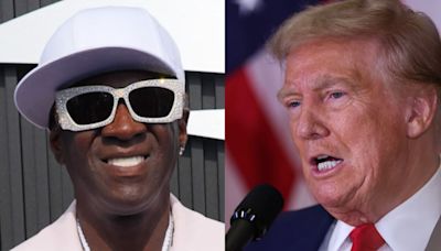 Flavor Flav Jokingly Tells Snoop Dogg, Pitbull to 'Stay Inside' After Trump Claims Immigrants in Ohio Are Eating Pets