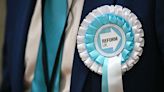 Reform UK's struggle to win seats makes a mockery of our democracy