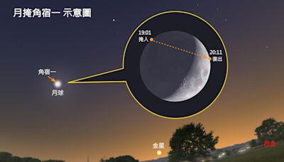 8月夜空好熱鬧 罕見月掩一等星及百顆流星雨陸續登場