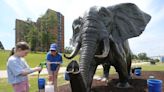 'Show some love' — Tembo the bronze elephant takes her annual bath