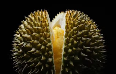 Why the stinky durian really is the ‘king of all fruits’ - EconoTimes