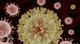 Report describes emerging sexually transmitted fungal infection