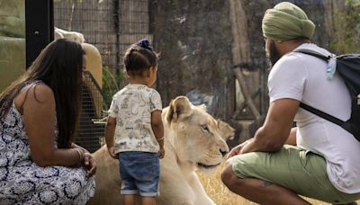 How Britain's ‘worst zoo’ turned into an award-winning experience