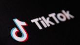 Exclusive-TikTok in talks to gain Indonesian payments licence